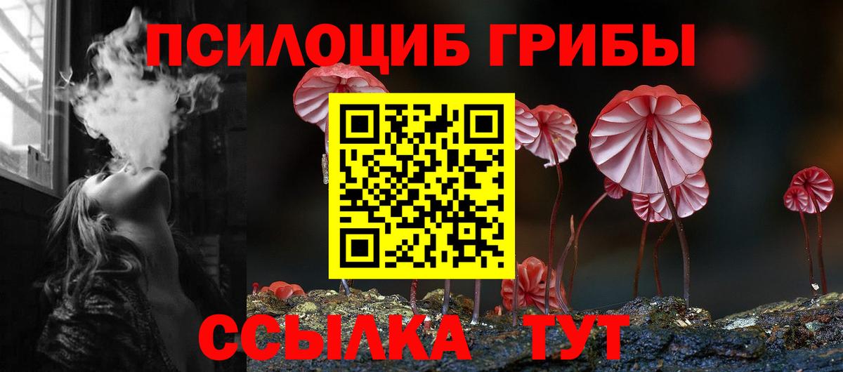 Галлюциногенные грибы мицелий Иркутск